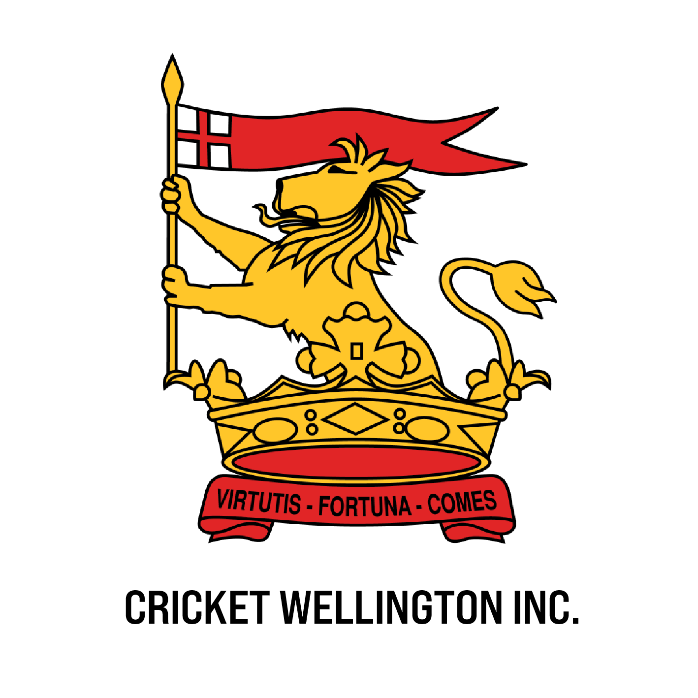 Cricket Wellington